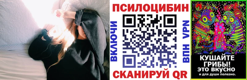 Галлюциногенные грибы Psilocybe  Сорск 